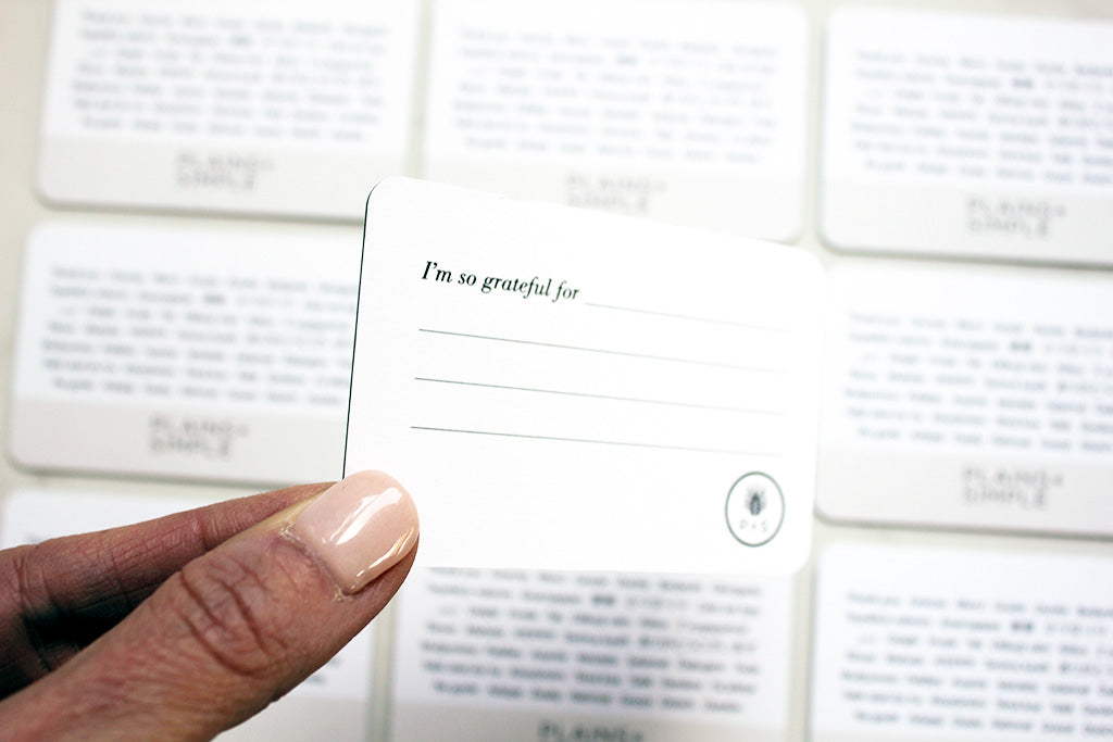 Gratitude Notes Set