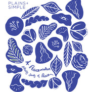 Plains + Simple Swedish Dishcloths